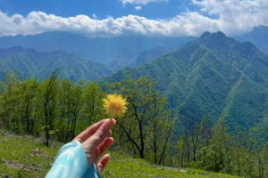 【小小树妈妈团 】4.24 周四 |黄龙寺登高 看群山在望 