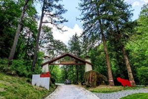 【五一两日营】 5.3-5.4 | 在无人的朝阳沟森林秘境拥抱自然 夜晚灯诱观察昆虫生态