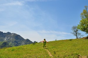 【小小树妈妈团 】5.15周四 | 漫步流峪草甸 闯入宫崎骏的夏天