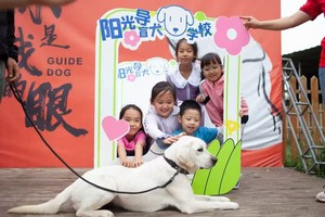 【城市游学】导盲犬学校参观 了解导盲犬的故事