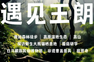【暑期营】 | 7.25-7.27 亲子+独立 | 在王朗魔法森林里探秘野生大熊猫栖息地 菌菇研学+深度体验白马藏族文化
