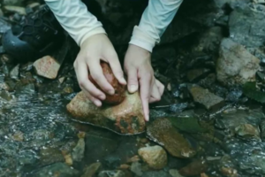 【山林徒步】7.12/7.13|漫步秘境森林 双龙潭戏水纳凉