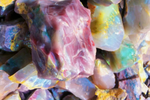 【暑期营】6.28 周六 | 孩子们都超爱的寻宝之旅 秦岭里的璀璨明珠“秦紫玉”