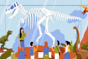 【暑期人文】 7.16-7.19 | 西北大学博物馆四日趣味科学主题营 恐龙+矿石+植物+化石