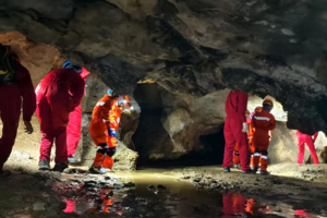 暑期营】8.2-8.3 亲子 | 天坑探险V2.0 潜龙洞探秘 攀树攀梯 夜间摸鱼捉虾 徒步识读中草药