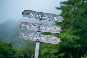 8.17周日一日徒步（暑期特惠）  华阳草甸登高 远眺华山 邂逅东秦岭最美高山草甸