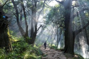 【暑期营】 8.22-8.23   徒步千年古蜀道金牛道 在历史与自然里穿梭