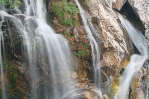 【独立营徒步】9.27周六 | 工草沟徒步 探索昆虫界的顶级杀手“螳螂” 寻找超大只蝴蝶蛾子幼虫