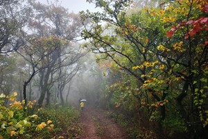 【山林徒步】10.18| 踏访千年秦直道遗迹 寻觅子午岭最早秋色 静谧林间 野花灿烂 秋色醉人 蘑菇众多