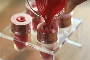 【博物人文】10.18/10.19半日 | 从胭脂虫中提取色素 制作一只天然色素口红