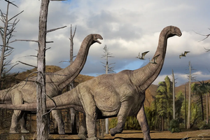 【博物人文】10.12下午 | 观察真实化石 模拟考古实践 推理古生物特征 带走一个亲手拼的恐龙模型