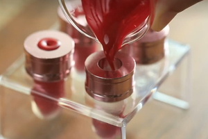 【博物人文】10.25半日小小树专场活动 | 从胭脂虫中提取色素 制作一只天然色素口红