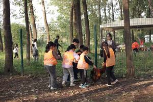 【节气生活】11.1秋日丰收季 割水稻 挖红薯 砍甘蔗 田园铁锅炖 森林游乐园畅玩