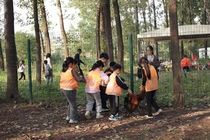 【节气生活】11.8周六| 独立儿童| 收割水稻 见证一粒米的诞生 挖甘蔗榨甘蔗汁 拔花生煮花生 田园铁锅炖