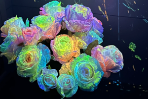 【博物人文】11.22周六下午小小树专场化学跨界实验 | 当科学遇见浪漫 见证荧光玫瑰的唯美绽放