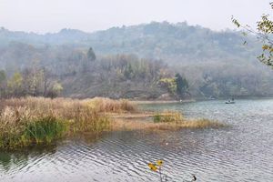 【节气生活】11.22周六| 冬藏季一起来腌菜 摘柿子做柿饼 体验石榴皮染 在绝美的山谷民宿惬意的度过一天