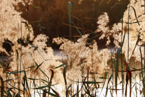 【地理课程】 | 11.30周日 徒步探访穆桂英故里穆柯寨 赏特色丹霞地貌