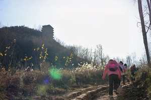 【亲子徒步】12.20/21周六日 | 土门峪穿蛟峪 赏冬日芒草 观二龙古塔 吃冬至饺子  户外玩大绳