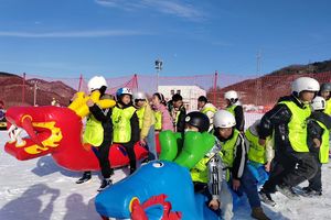 小小树戏雪专列|1.31冬日赴一场雪约，冰瀑探险+雪地撒欢，嗨玩尽兴不打烊！