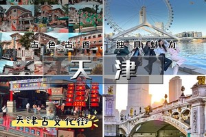 【天行•周末1日•天津海鸥】西伯利亚海鸥来袭-滨海看海鸥-打卡古文化街-意式风情区-五大道
