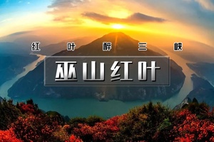 【天行•周末2日•巫山红叶】红叶醉三峡の长江三峡之巅看夔门漫山红叶“枫”情万种