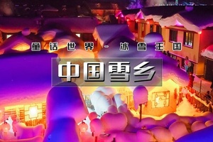 【天行•元旦•中国雪乡】北京户外团直发の雾凇岛-雪乡-雪谷-林海雪原穿越｜可衔接漠河