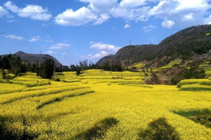 【天行•春节•滇黔桂三省游】罗平油菜花→马岭河峡谷-万峰林→万峰湖→天生桥→东川红土地|行摄之旅8日