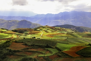 【天行•行摄滇南】东川红土地｜元阳梯田｜罗平油菜花｜九龙瀑布｜弥勒东风韵｜建水古城｜抚仙湖7天6晚