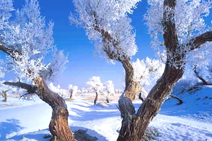 【天行•异域南疆】童话新疆—丝路冬韵8日|2025年小车团