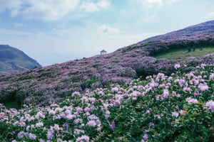 【天行•2026贵州屋脊】乌蒙山脊+乌蒙东坡+韭菜坪+阿西里西秘境+百草坪徒步7日
