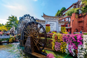 【天行•2026初遇云南】玉龙雪山｜大理洱海｜香格里拉｜5天4晚｜首次云南之旅