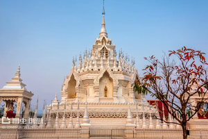 【天行•象往版纳】野象谷｜勐泐大佛寺｜中科院植物园｜雨林徒步探秘｜曼远傣族村寨｜曼听公园｜般若寺｜湄公河星光夜市5天