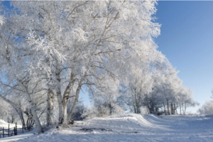 【天行•邂逅乌兰布统】精品纯玩团五日游