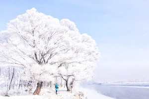 【天行•元旦•查干湖冬捕】传承千年渔猎文化の查干湖冬捕-知北村-雾凇岛-净月潭-冰雪新天地