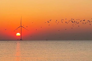 【天行•元旦•天津跨年】2026“津”彩绽放！の泰达航母跨年烟花秀-东疆港日出&海鸥-古文化街-意式风情区-五大道 