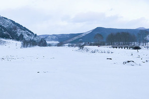 【天行•元旦•大青山】穿越冬季塞尔达大青山-漫步美林谷雾凇幻境