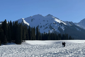 【天行•绝色冬韵伊犁】伊宁往返 赛里木湖 昭苏玉湖 天鹅泉 雾凇 库尔德宁 深度游
