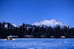 【天行•绝色伊犁雪境】安集海大峡谷 冰雪赛里木湖 琼库什台 天鹅泉 雾凇 库尔德宁 那拉提7日游