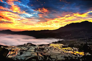 【天行滇东南之春】元阳梯田-罗平油菜花-九龙瀑布-坝美-普者黑-弥勒东风韵-建水-屏边滴水苗城-大围山-人字桥-火车集市