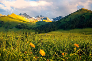 【天行·绝色新疆·天山红花】2-6人小团 S101网红国防公路 天山红花 苹果花 赛里木湖 库尔德宁