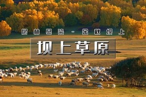 天行·国庆2日｜又见•坝上草原｜坝上正确打开方式の摄影、骑马、篝火、烤全羊、卡拉OK……