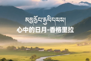天堂云南5日︱天涯行：丽江+香格里拉，秘境无底湖、纳帕海、普达措、白水台、玉龙雪山蓝月谷、束河古镇、文海村、白沙古镇…