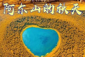 9.20-28 最北秋色9日︱天涯行：阿尔山、额尔古纳湿地、根河、满洲里、漠河、北极村，追寻2025年第一抹秋色…