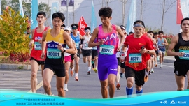 DSC01389-opq649374557