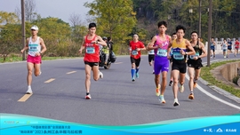 DSC01493-opq649382481