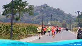 DSC01663-opq649393298