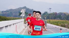 DSC01667-opq649393854