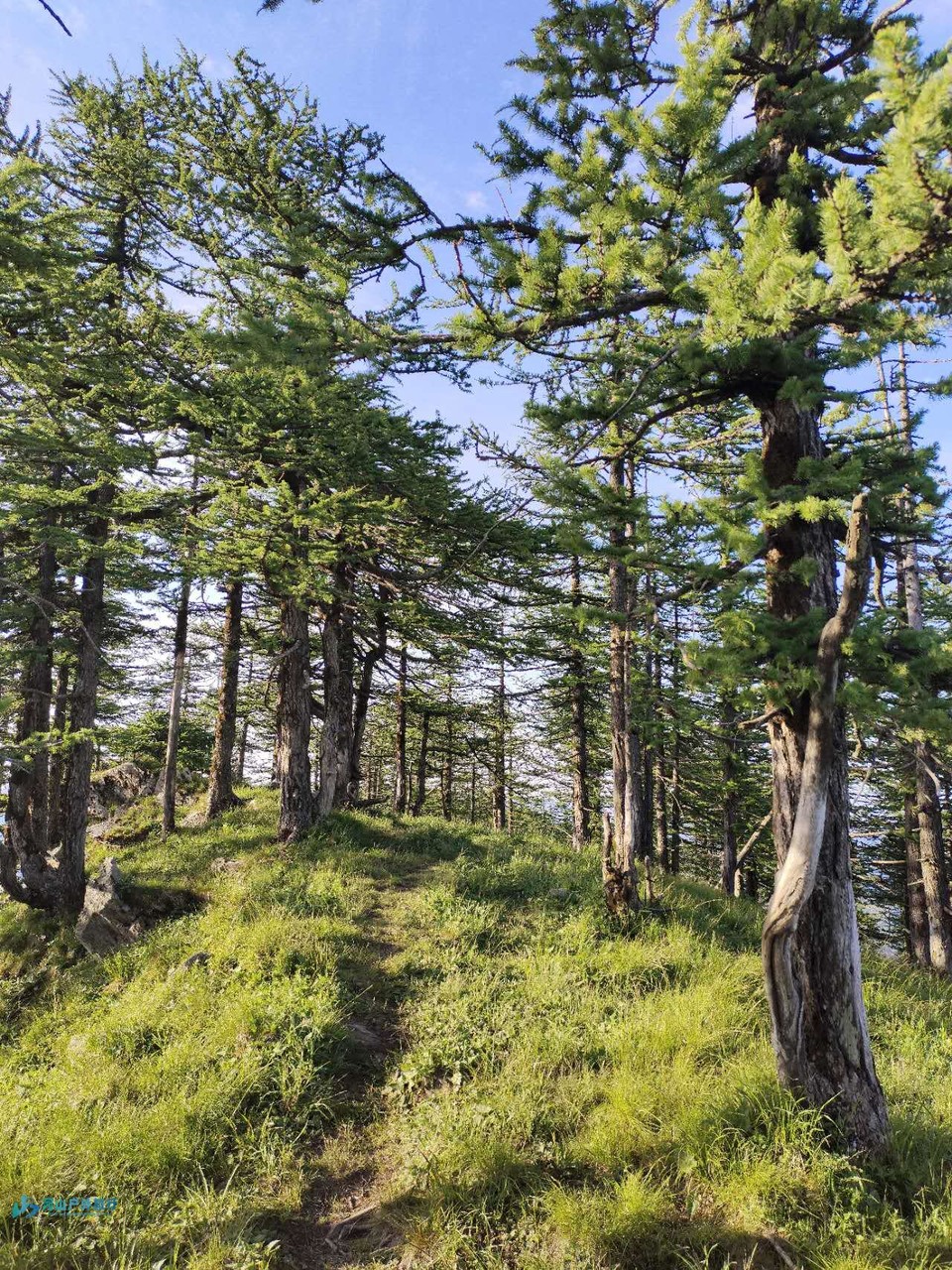 60SB-KjaWZ56gJSgul-EWiVLkLAu082W_LEJEa7288Znv5nKLto-uDfqCEhXgsxx