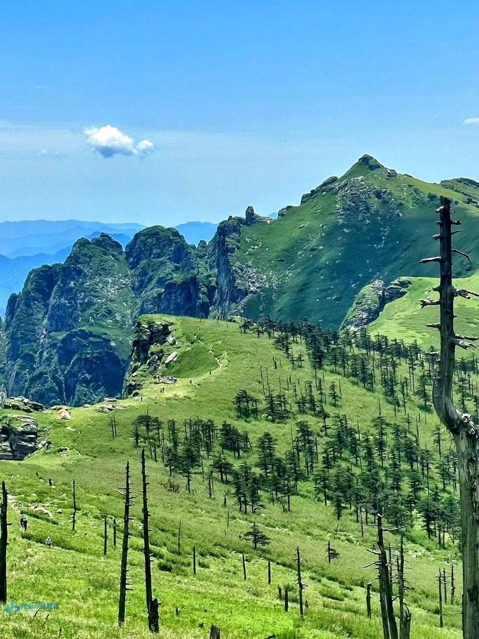 mmexport1709833123415