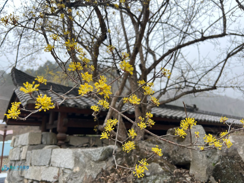 mmexport1710599591744